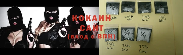 крисы Белокуриха