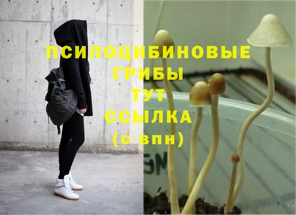 крисы Белокуриха