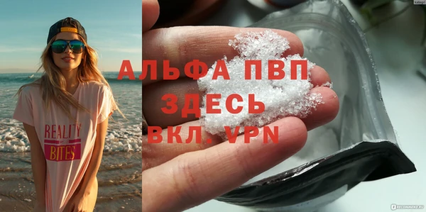 крисы Белокуриха