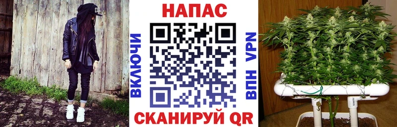 Купить  Голицыно  Каннабис White Widow 